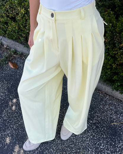 Pantalone palazzo con pences